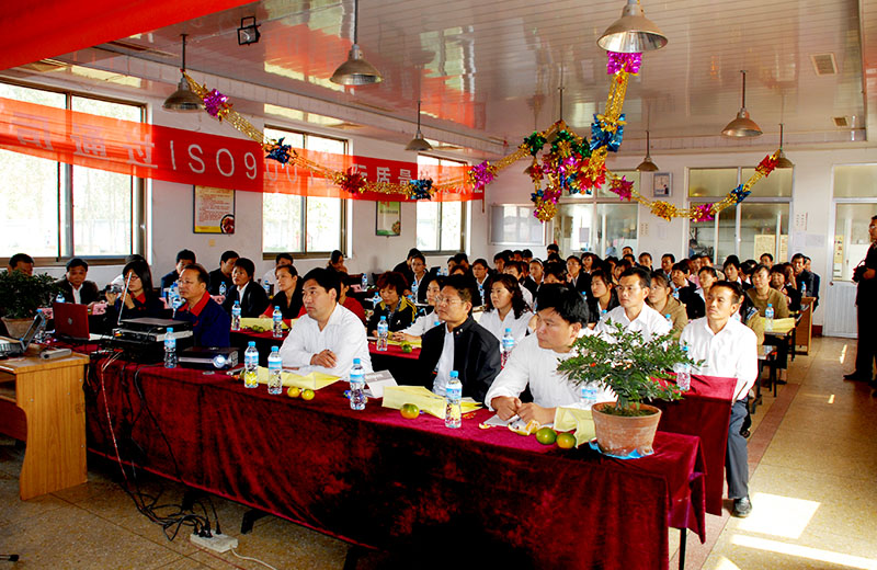 恭賀我司通過(guò)ISO9001質(zhì)量體系認證
