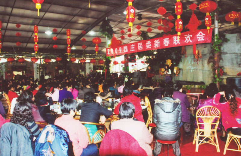 2009魏莊新春聯(lián)歡會(huì )